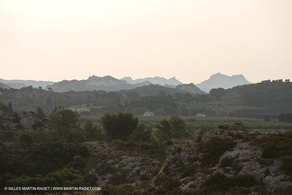 June 24th 2008 - Mouriès (FRA,13) - Alpilles hills landscapes - Le Destet area