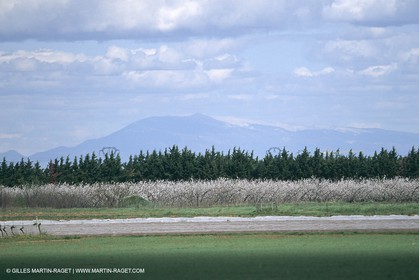 costieres_plaine0081.jpg