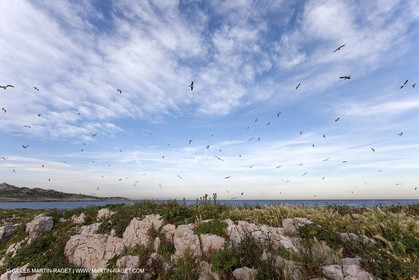 06 05 2009 - Marseille (FRA, 13) - Les Calanques - Ilne Plane