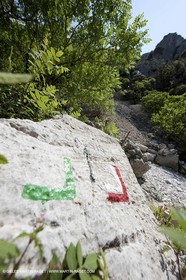 03 05 2009 - Marseille (FRA, 13) - Les Calanques - En Vau - Vallon d' En vau