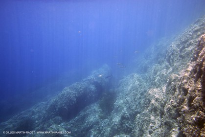 Snorkeling - Diving - 2005, Port Cros Island
