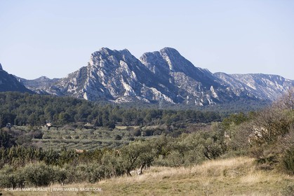 15 02 2007 - Provence - Les Alpilles