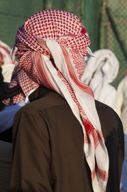 20 11 2010 - Dubai (UAE) - Camel races