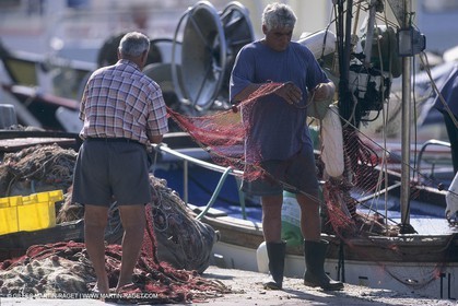 France, Provence, Pêche, barques, pointus, pêheurs, poissons