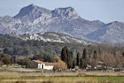 05 02 2008 - Arles (FRA, 13) - Arles surroundings landscapes