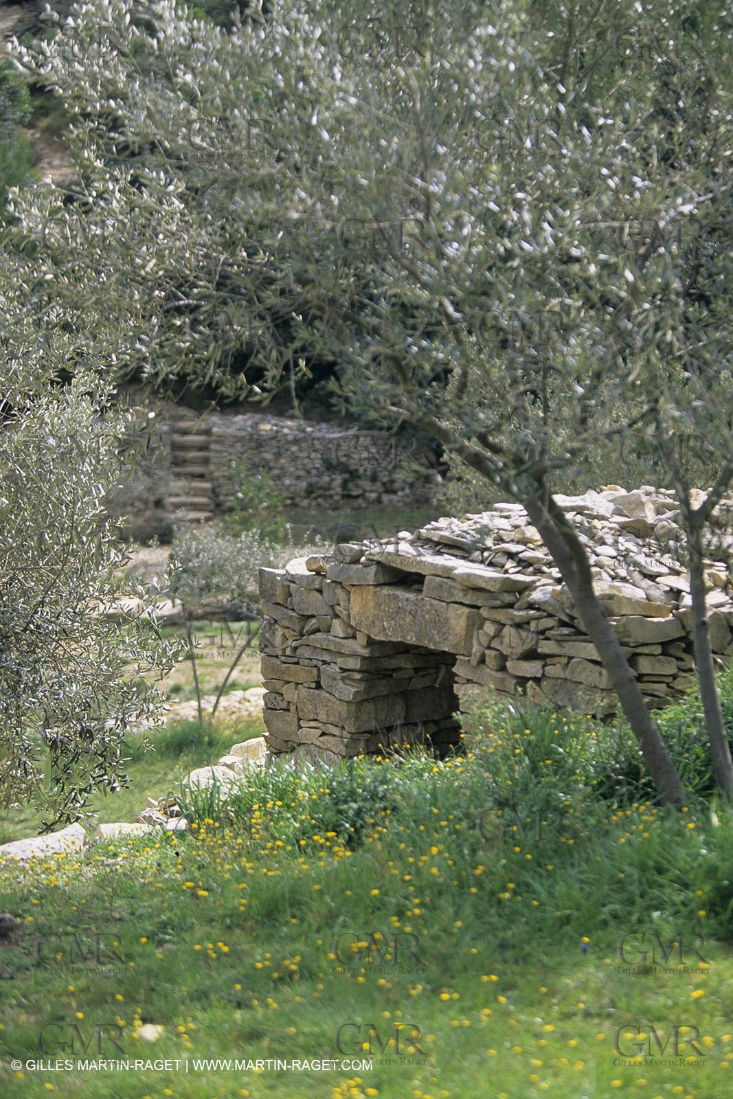Paysages de Nîmes Métropole (FRA,30) - La Garrigue
