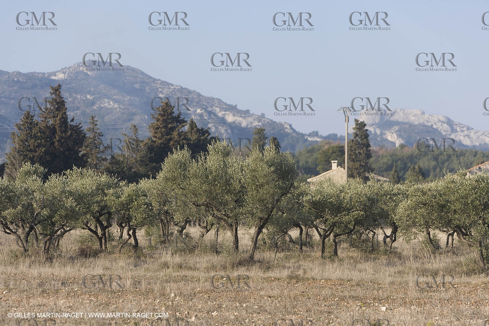 16 02 2008 - Saint Rémy de Provence (FRA, 13) - Alpilles hills landscapes