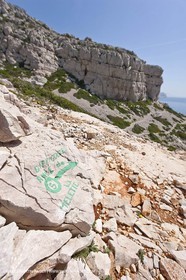 20 05 2009 - Marseille (FRA, 13) - Les Calanques - Calanque du Podestat