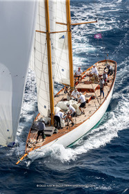 1 10 2024, Saint-Tropez (FRA), Les Voiles de Saint-Tropez 2024, Race Day 2
