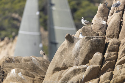 26 09 2022, Saint-Tropez (FRA,83), Voiles de Saint-Tropez 2022, Premier jour de course pour les IRC - ENtraînements pour les classiques