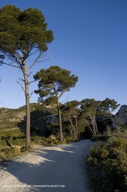 27 03 2008 - Les Baux de Provence (FRA-13) - Paysage des Alpilles