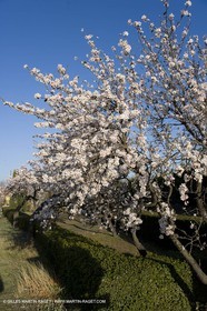 09 02 2008 - Les Baux de Provence (FRA, 13) - Alpilles hills landscapes