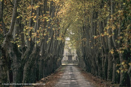 France, Provence, Saint-Rémy de Provence