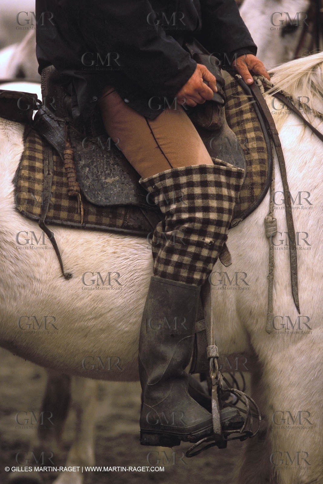 Arles - Camargue gardians (cow boys) at work