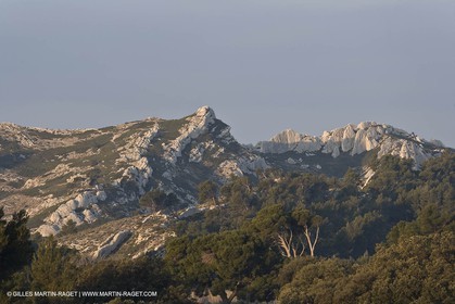 22 02 2008 - Mouriès (FRA, 13) - Alpilles hills landscapes