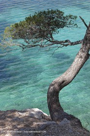 27 05 2009 - Marseille (FRA, 13) - Les Calanques - Sormiou