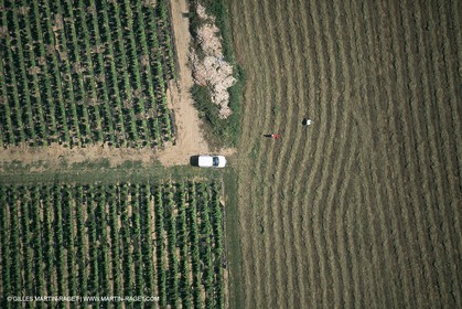 Paysages de Nîmes Métropole (FRA,30)