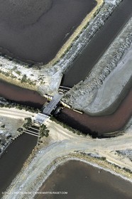 Marais de Camargue