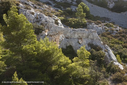 07 09 2009 - Marseille (FRA, 13) - Les Calanques - Massif de Marseilleveyre - Grand Malvallon