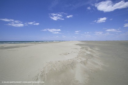 France, Provence, Camargue, Nature, plage, sable
