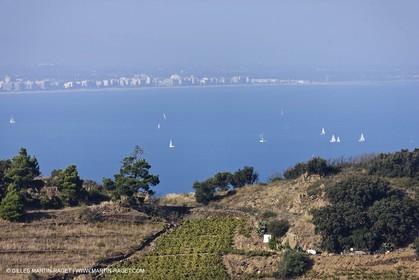 17 10 2011 - Côte Vermeille (FRA, 66) - Vgnobles de Corbières