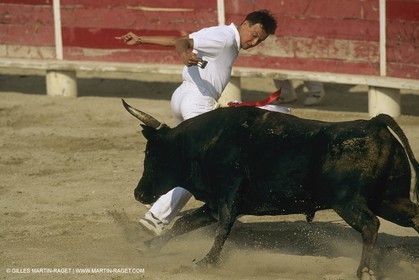 France, Provence, Course libre