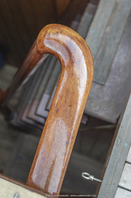 29 03 2019, Barcelona (Spain), Marigold