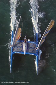 The Race - Team Phillips