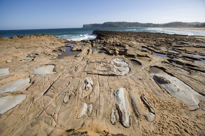 11 12 2006 - Australie - New South Wales - Central coast - Gosford & environs