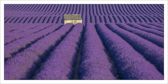 Produit : Tirage photo réalisé par nos soins sur imprimante jet d'encre professionnelle Epson à partir de 8 encres ultrachrome inaltérables (label Digigraphie).Formats au choix : .. 50 x 100 cm. 100 x 200 cmChoix des papiers :. Papier standard brillant 250 gr., filet noir, marge blanche, tirage non signé. Papier haut de gamme satiné 290 gr. filet noir, marge blanche, tirage vérifié et signé par l'auteur.. Autres supports (canvas, acrylique, dibond) sur demandeConditionnement : tube cylindrique renforcé.Options pour l'expédition : . colissimo + dépôt boîte aux lettres (France uniquement). Colissimo avec signature à réception. Transporteur express (2 jours ouvrés) avec signature à réceptionCliquez sur caddie pour sélectionner votre formule et démarrer la procédure de commande en ligne