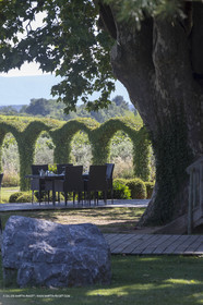 22 06 2018, Saint-Saturnin les Apts (FRA,84), Domaine des Andéols