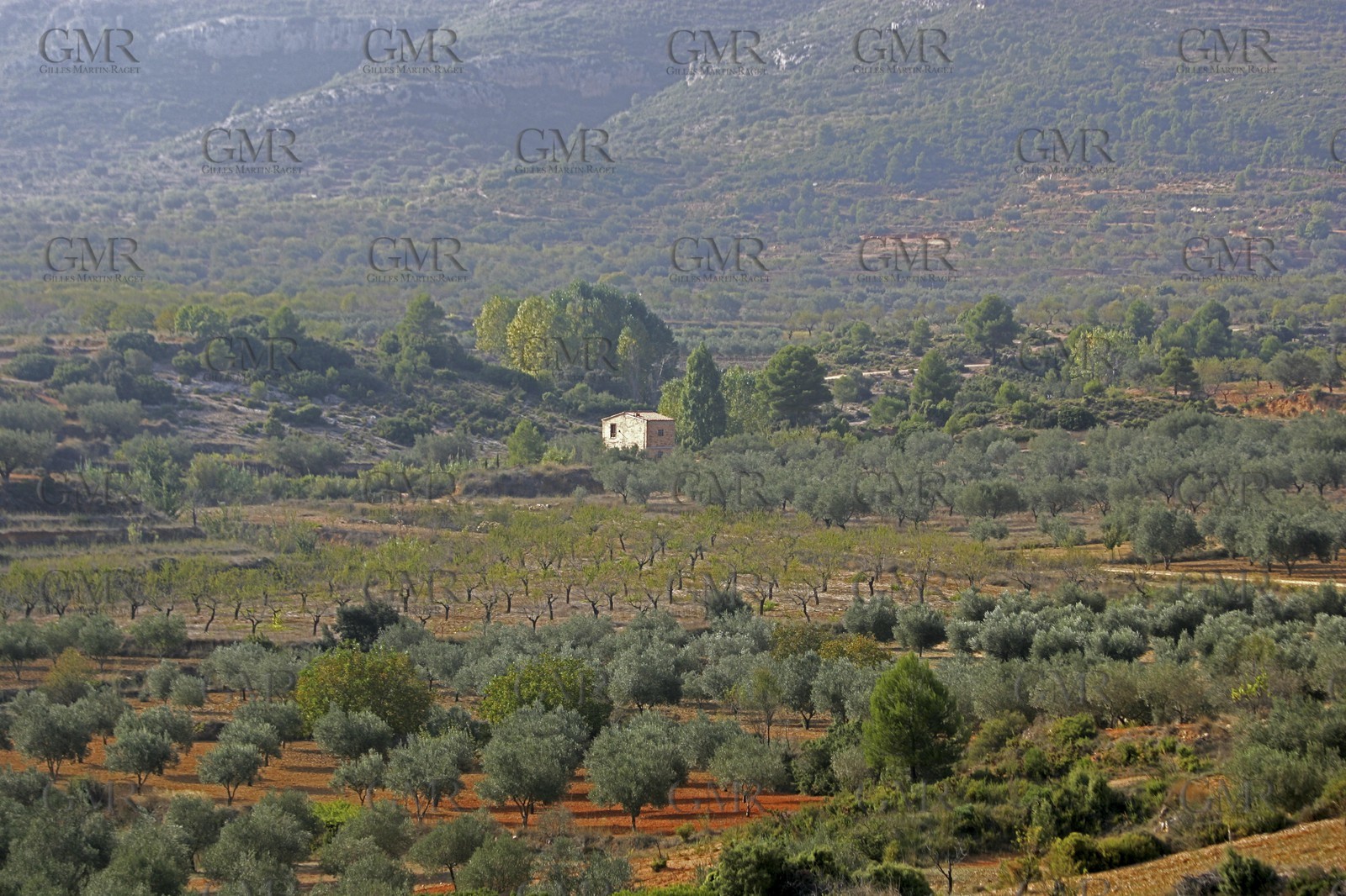 Arrière pays de Valencia- environs de Chera