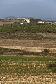 Saint Drézéry (FRA, 34), Domaine de Puech Haut