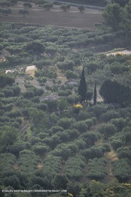 France, south, Alpilles landscapes