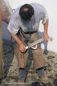 France, Provence, Camargue, Gardians de Camargue, métier, fêtes, élevage, tri