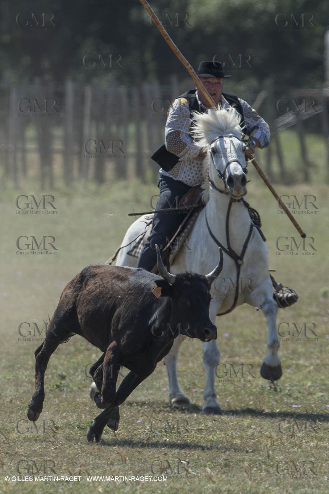 Course de Satin 2014 - Arles (FRA,13) - 1 06 2014**The satin race - Arles (FRA,13) - 01 06 2014