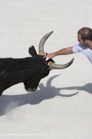 bull games