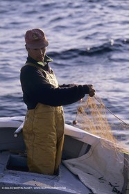 France, Provence, Pêche, barques, pointus, pêheurs, poissons