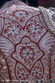 France, Provence, Traditions, Tauromachie, bull fights, détail costumes, habit de lumière