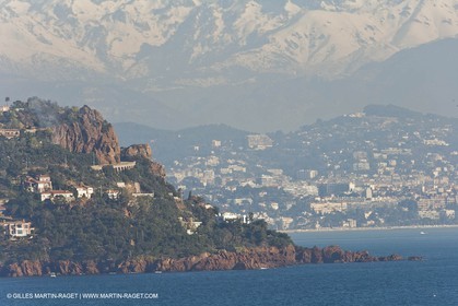06 02 2008 - Théoule sur mer (FRA, 06) - Mimoses in full flower