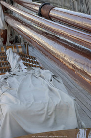 29 03 2019, Barcelona (Spain), Marigold