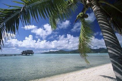 Destinations - Polynésie française - Iles sous le vent