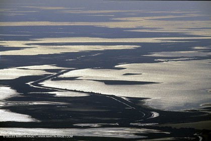 Camargue pond