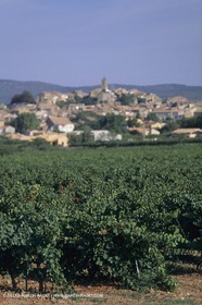 France, Provence, Pays d'Aix en Provence, Pourrières