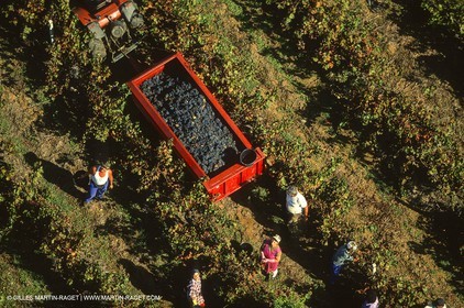 Provence, Harvest time