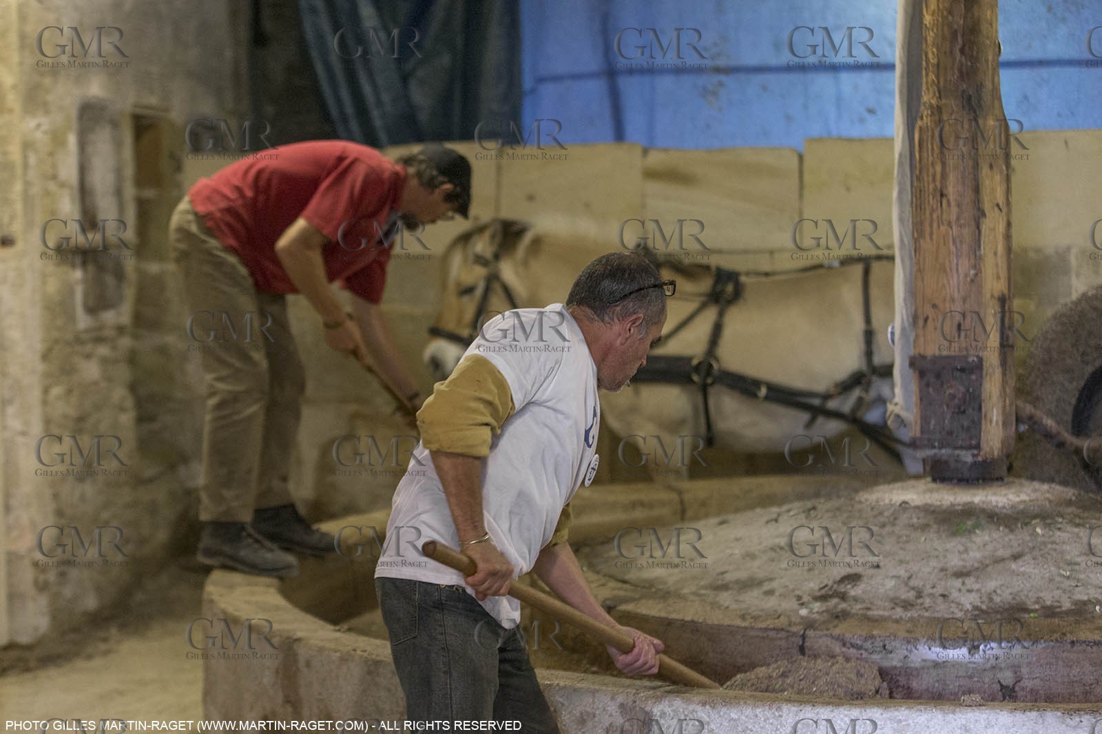 14 11 2015, Saint-Etienne du Grès (FRA,13), traditional making of olive oil at La Croix mill