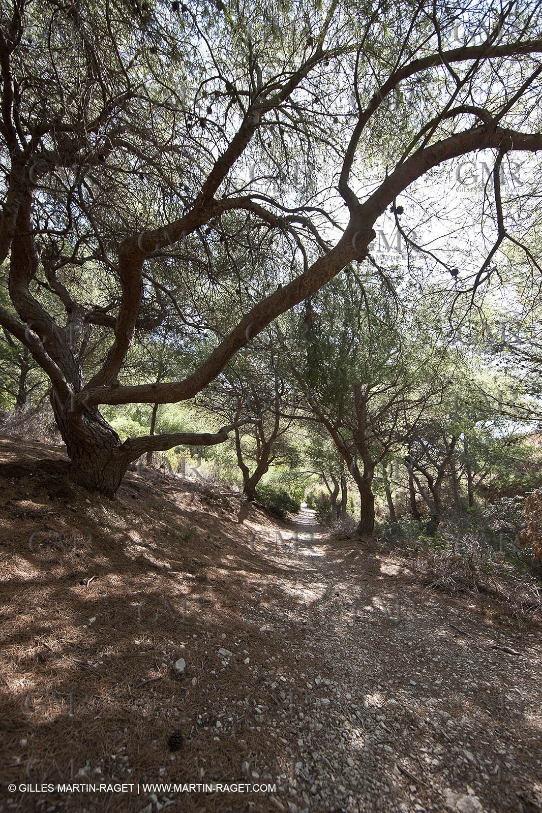 07 09 2009 - Marseille (FRA, 13) - Les Calanques - Massif de Marseilleveyre - Grand Malvallon