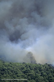 Bushfires in Provence