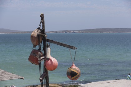 10 11 2014, Capetown (ZAF), Volvo Ocean Race 2014-15, Team Alvimedica