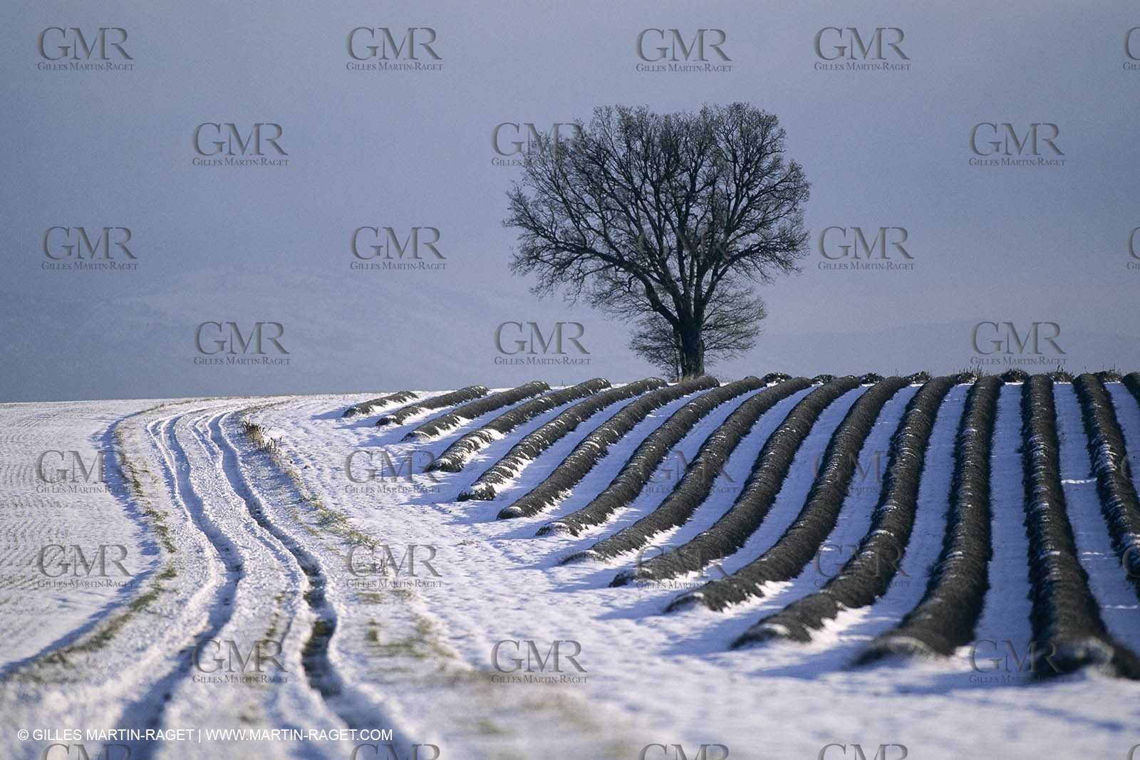 Provence under snow - Higher Provence - Valensole plateau